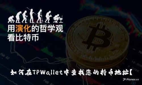 如何在TPWallet中查找您的持币地址？