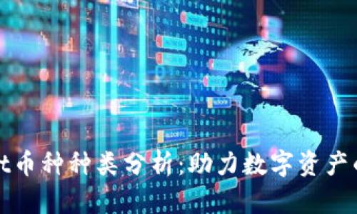 TPWallet币种种类分析：助力数字资产的新时代