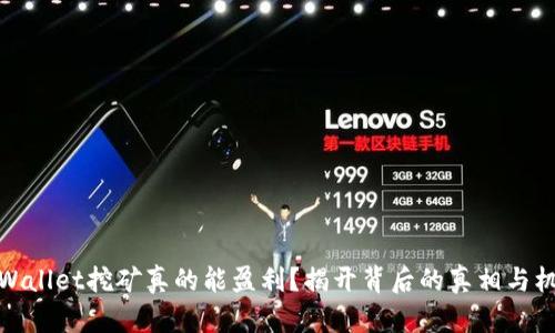 TPWallet挖矿真的能盈利？揭开背后的真相与机会