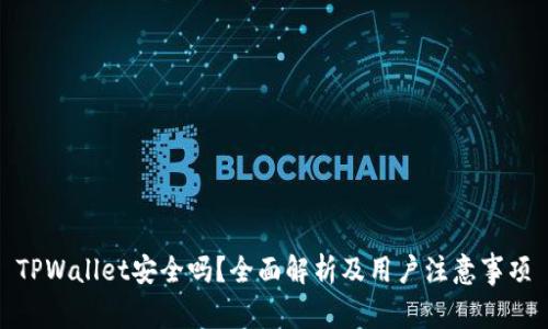 TPWallet安全吗？全面解析及用户注意事项