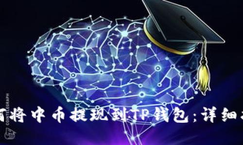 如何将中币提现到TP钱包：详细指南