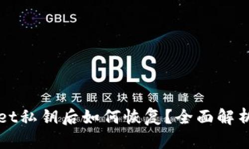 丢失TPWallet私钥后如何恢复？全面解析与应对措施