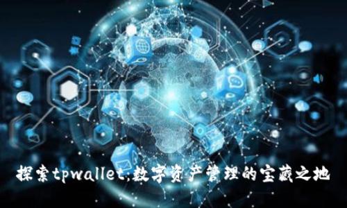 探索tpwallet：数字资产管理的宝藏之地