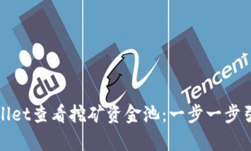 如何使用tpwallet查看挖矿资金池：一步一步引导与实用技巧