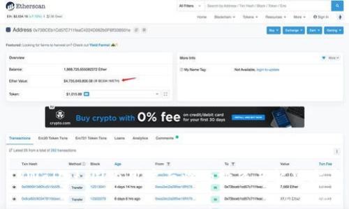 TPWallet:国内用户面临的挑战与解决方案