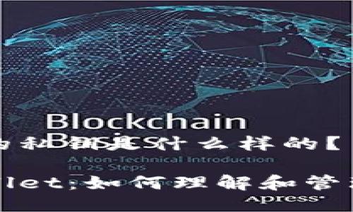 tpwallet的私钥是什么样的？

探秘TPWallet：如何理解和管理你的私钥