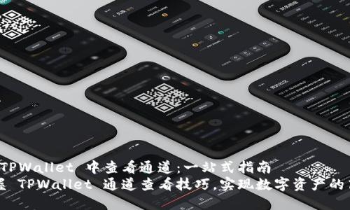 如何在 TPWallet 中查看通道：一站式指南
轻松掌握 TPWallet 通道查看技巧，实现数字资产的高效管理