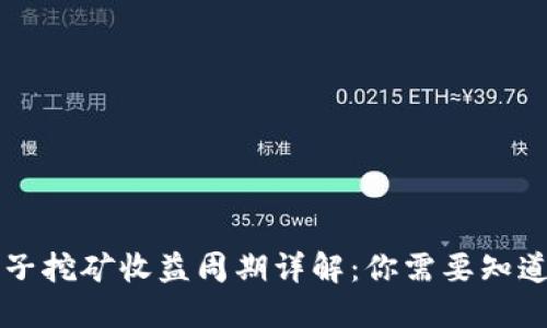 TPWallet池子挖矿收益周期详解：你需要知道的实用信息