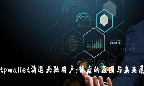 : tpwallet清退大陆用户：背后的原因与未来展望