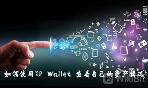 如何使用TP Wallet 查看自己的资产情况