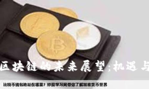瑞穗金融区块链的未来展望：机遇与挑战并存