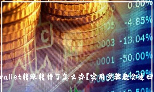 : tpwallet转账转错了怎么办？实用步骤教你追回资金！