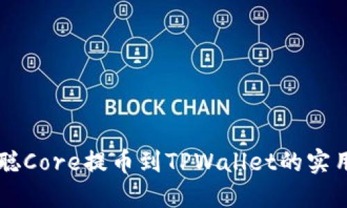 中本聪Core提币到TPWallet的实用指南