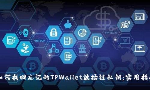 如何找回忘记的TPWallet波场链私钥:实用指南