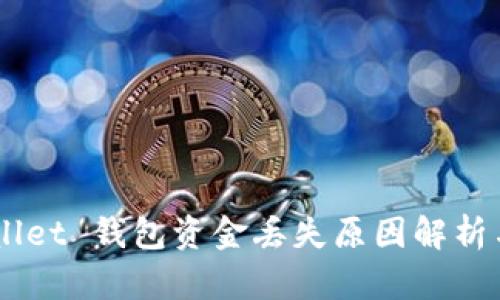 ## TPWallet 钱包资金丢失原因解析与应对策略