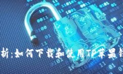 全面解析：如何下载和使